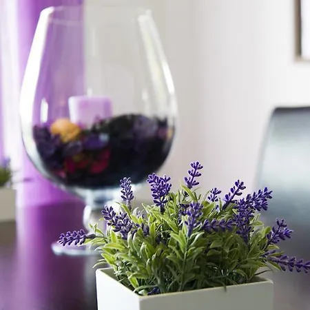 Apartamento Alojamentos Campo & Mar-t2 Com Piscina *