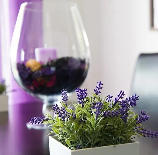 Apartment Alojamentos Campo & Mar-t2 Com Piscina *