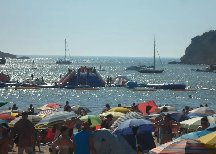 Alojamentos Campo & Mar-t2 Com Piscina Apartment